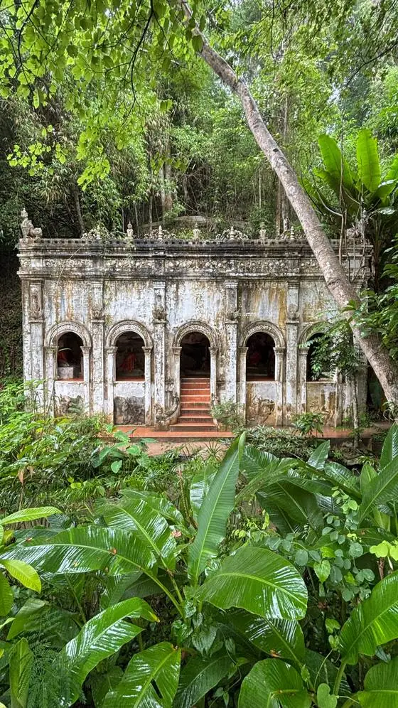 Oude tempel overgroeid door de jungle